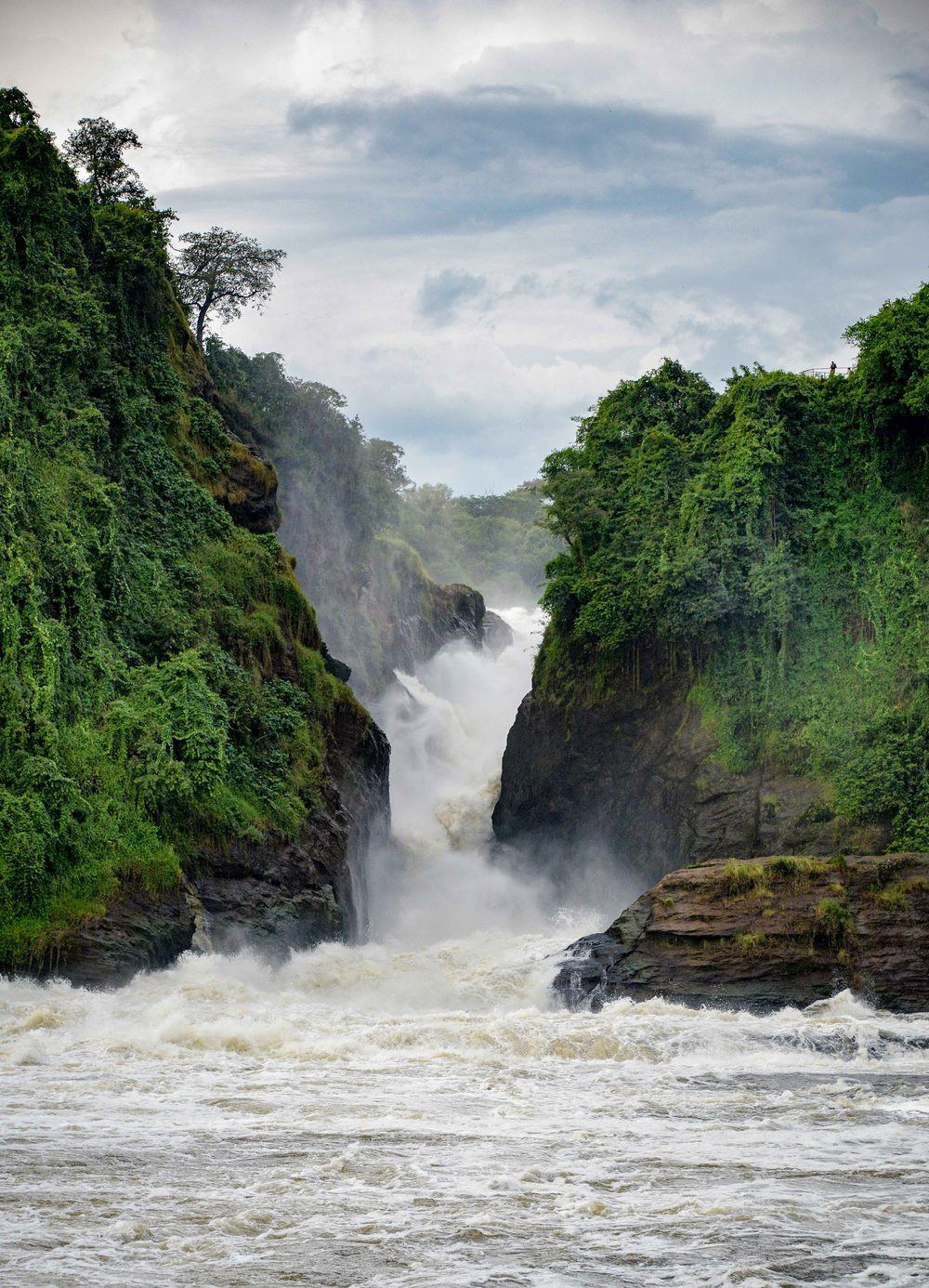 The Victoria Nile forcing through the gorge at Murchison Falls